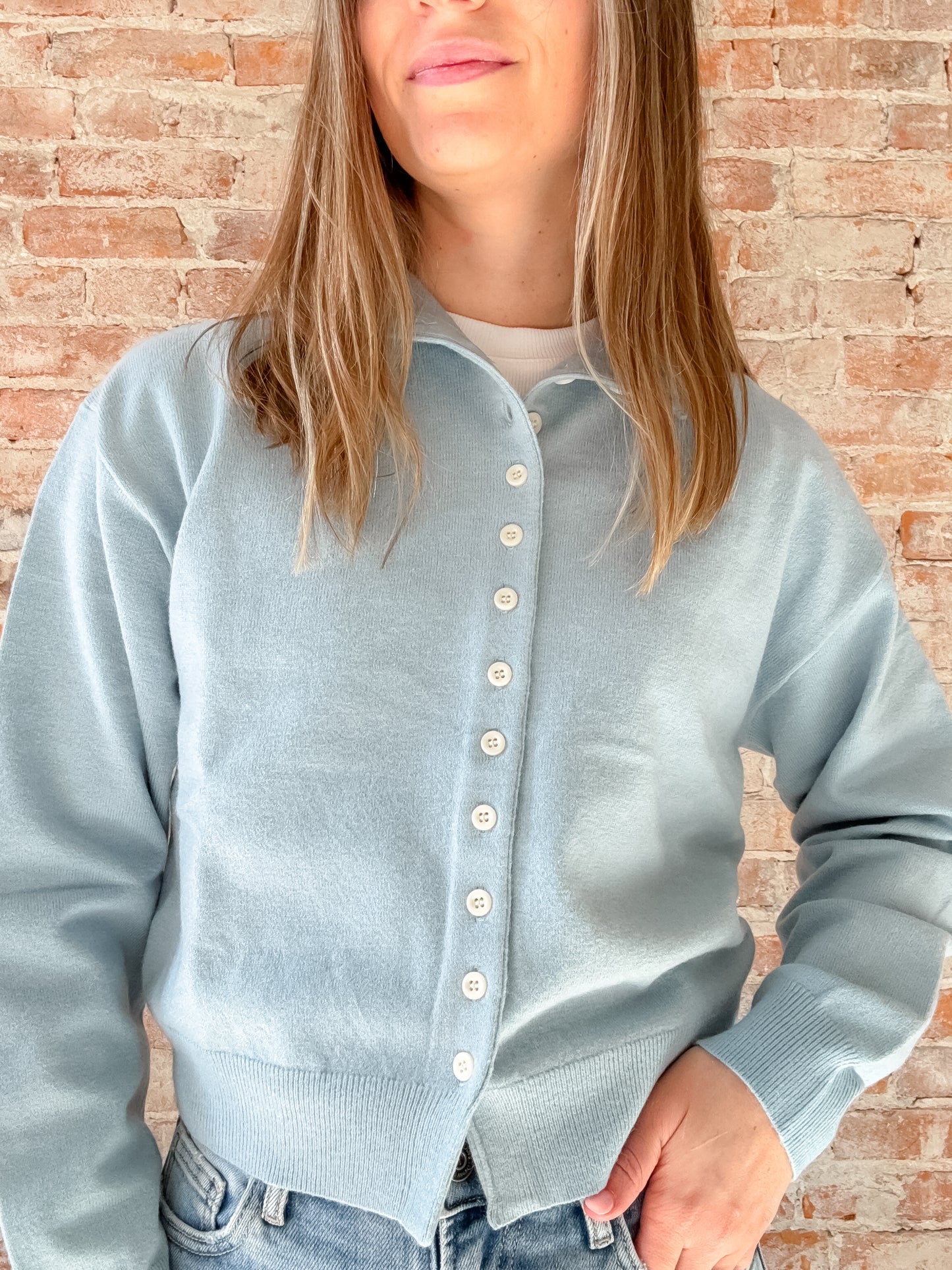 Brooks Cardigan in Blue