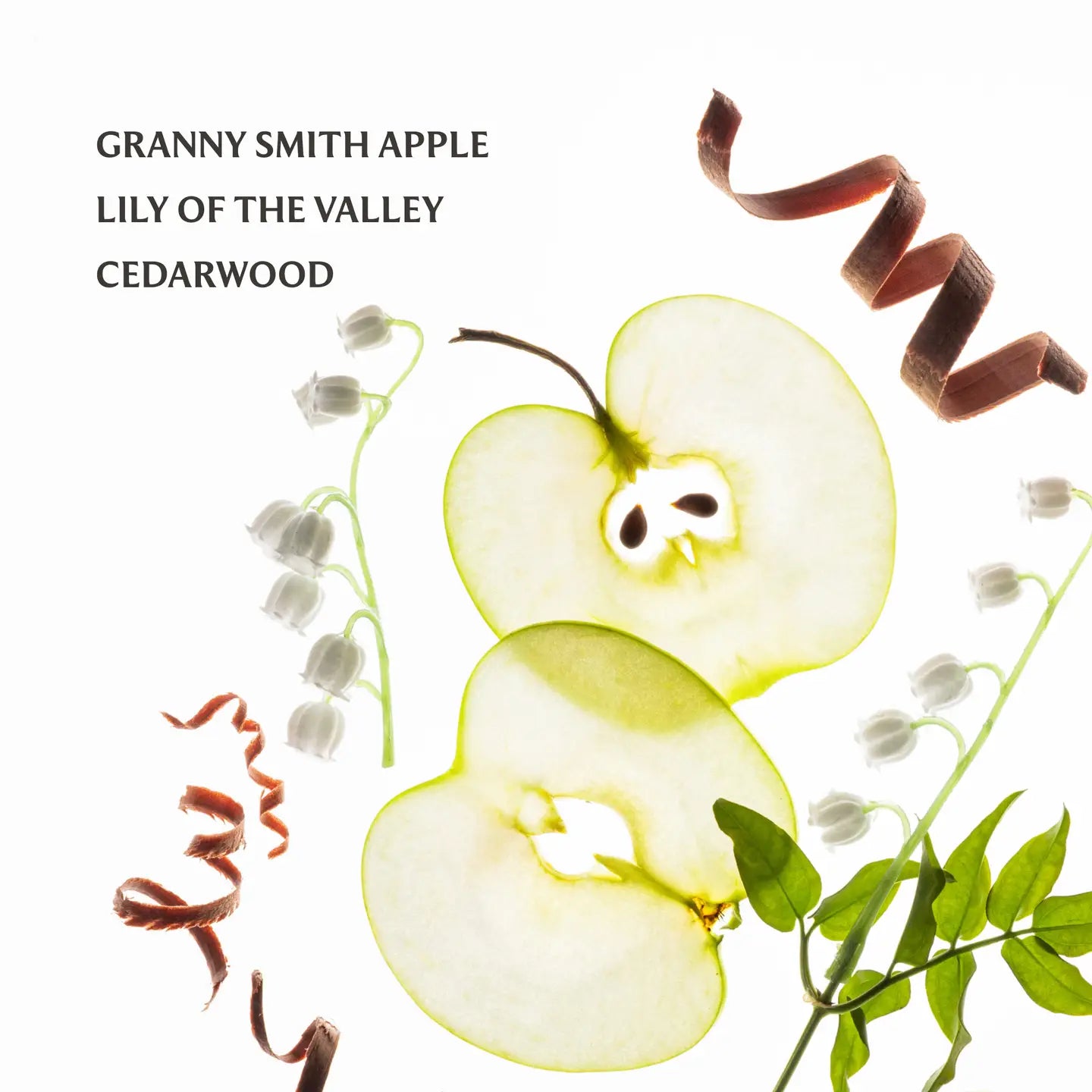 Touchland : Appelicious