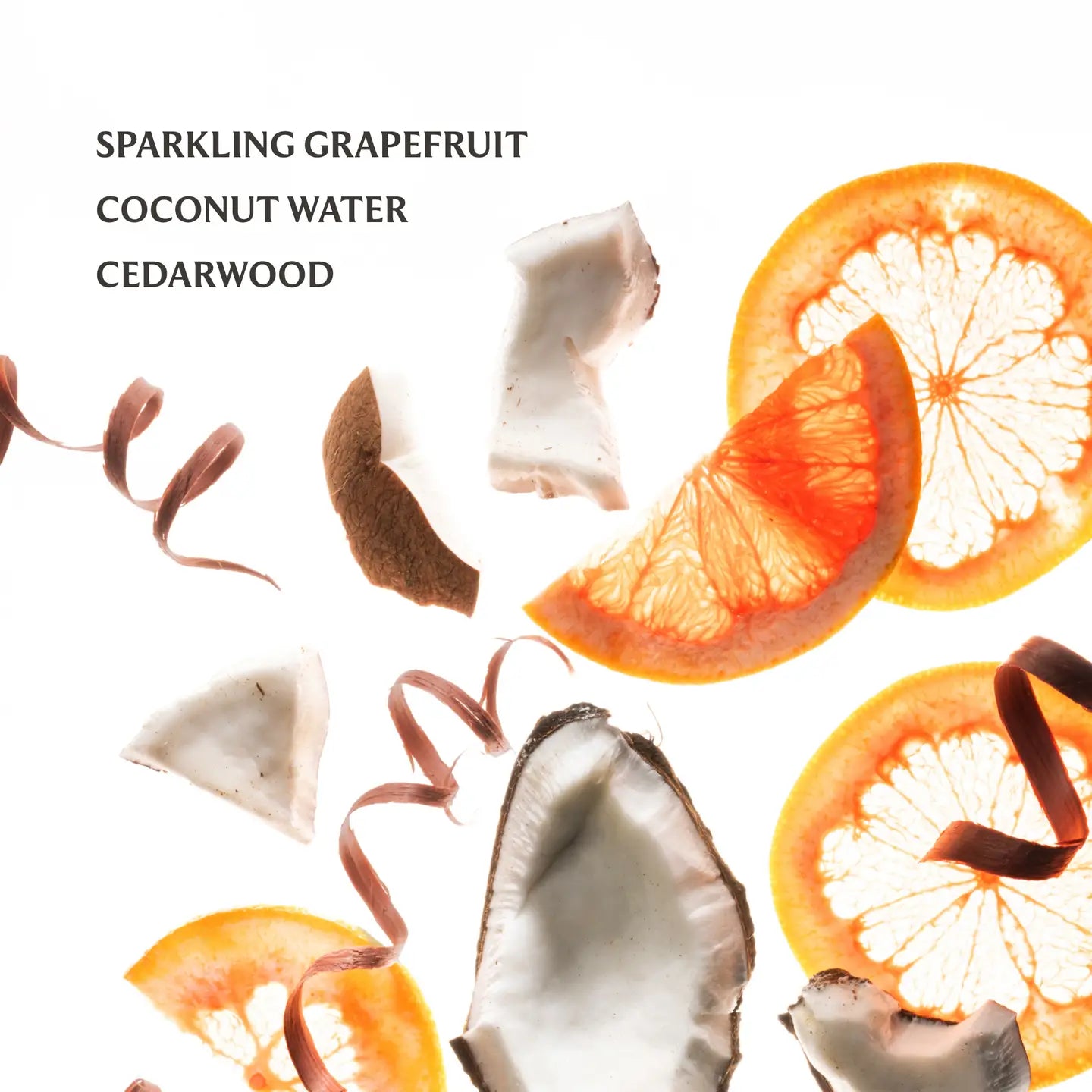 Touchland : Beach Coco