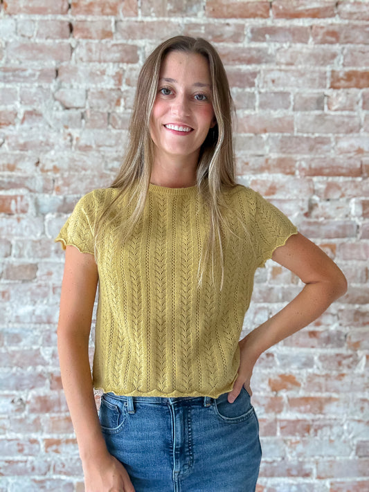 Pointelle Top in Chamomile