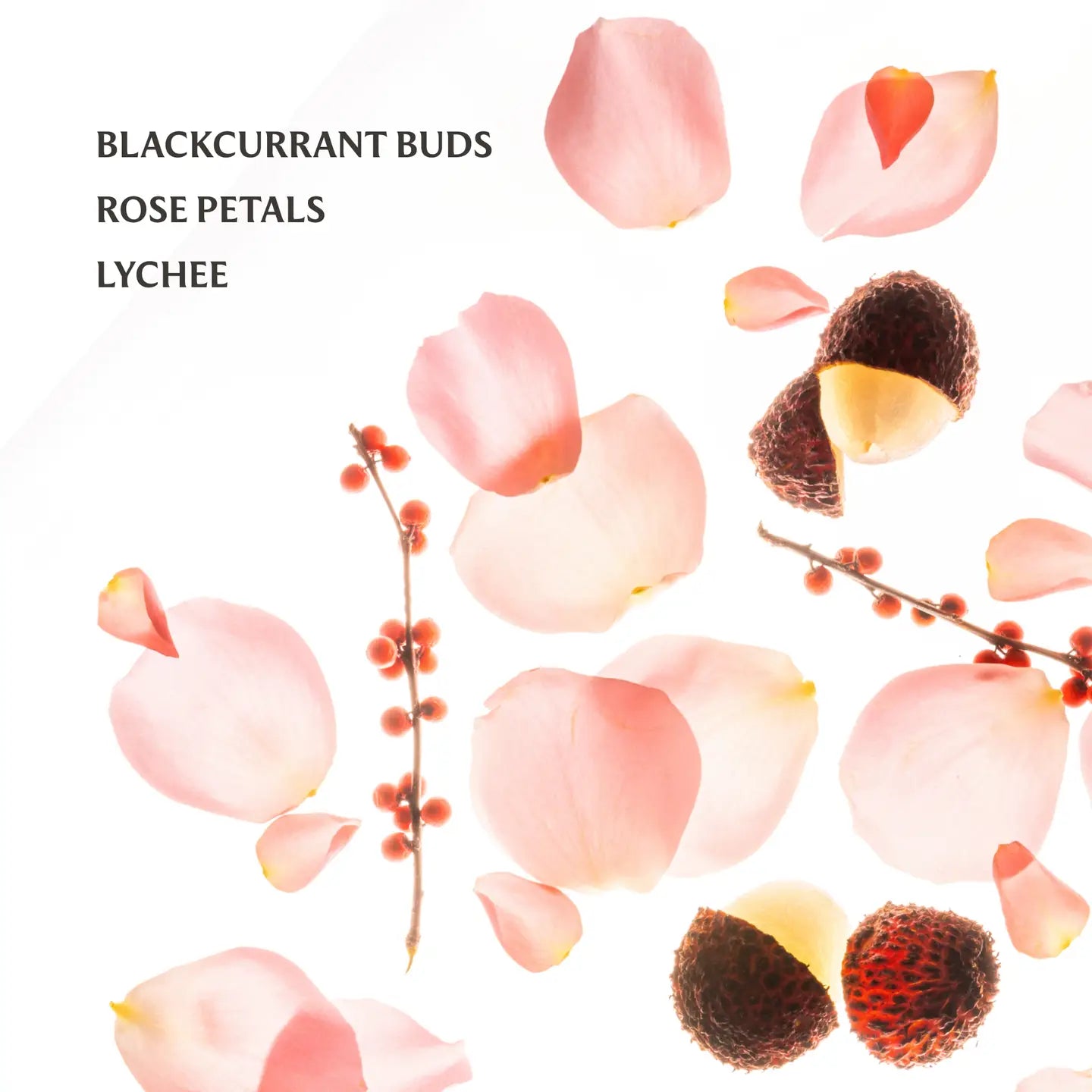 Touchland : Rosewater