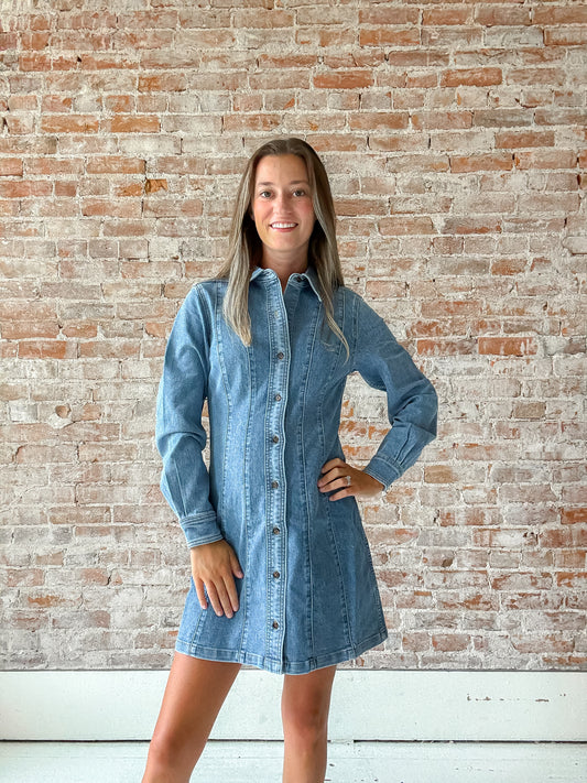 Bloomfield Denim Dress