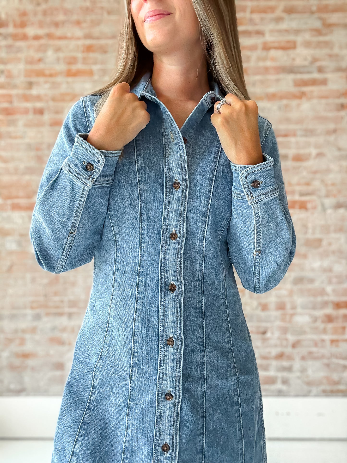 Bloomfield Denim Dress