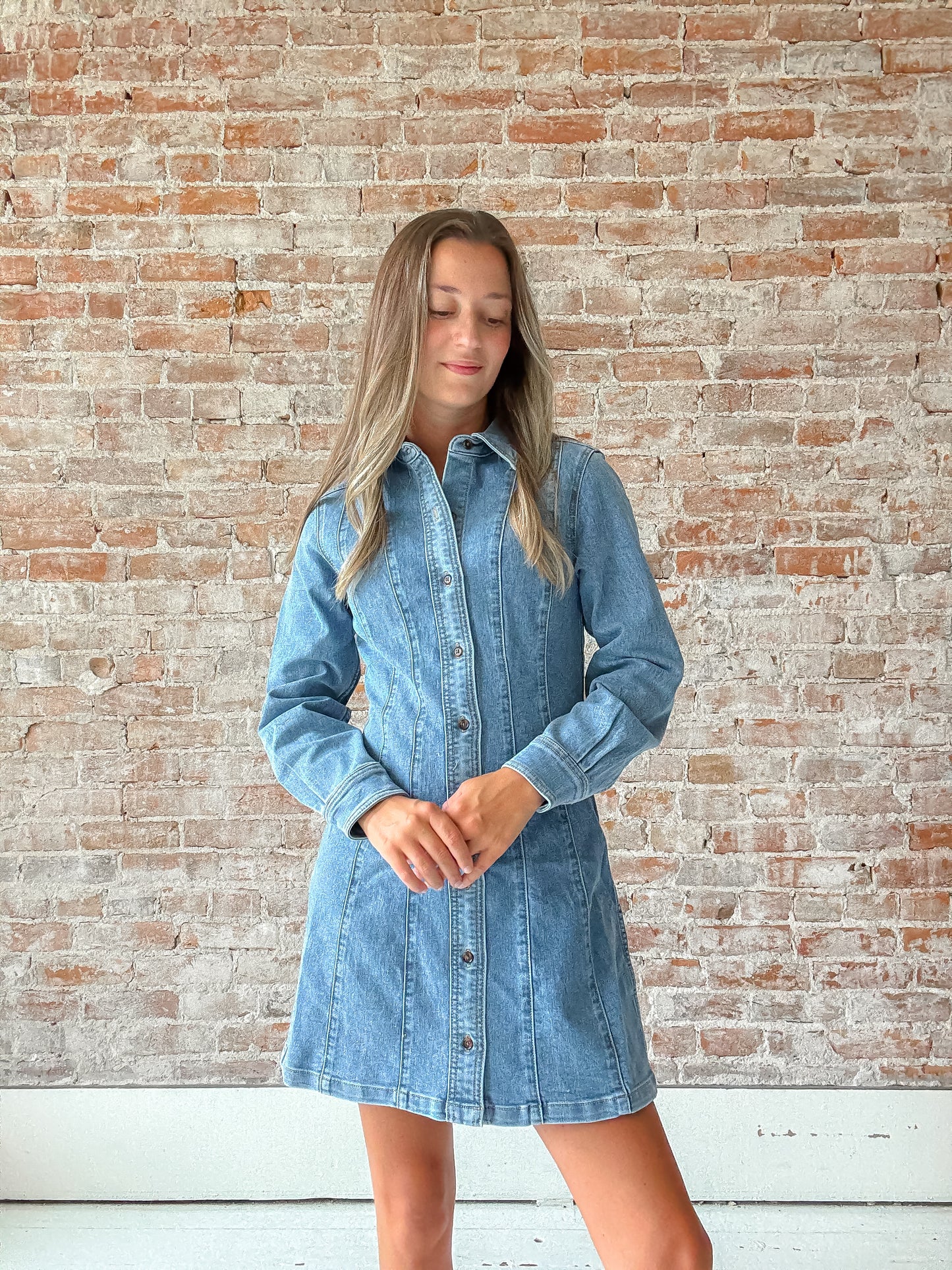 Bloomfield Denim Dress