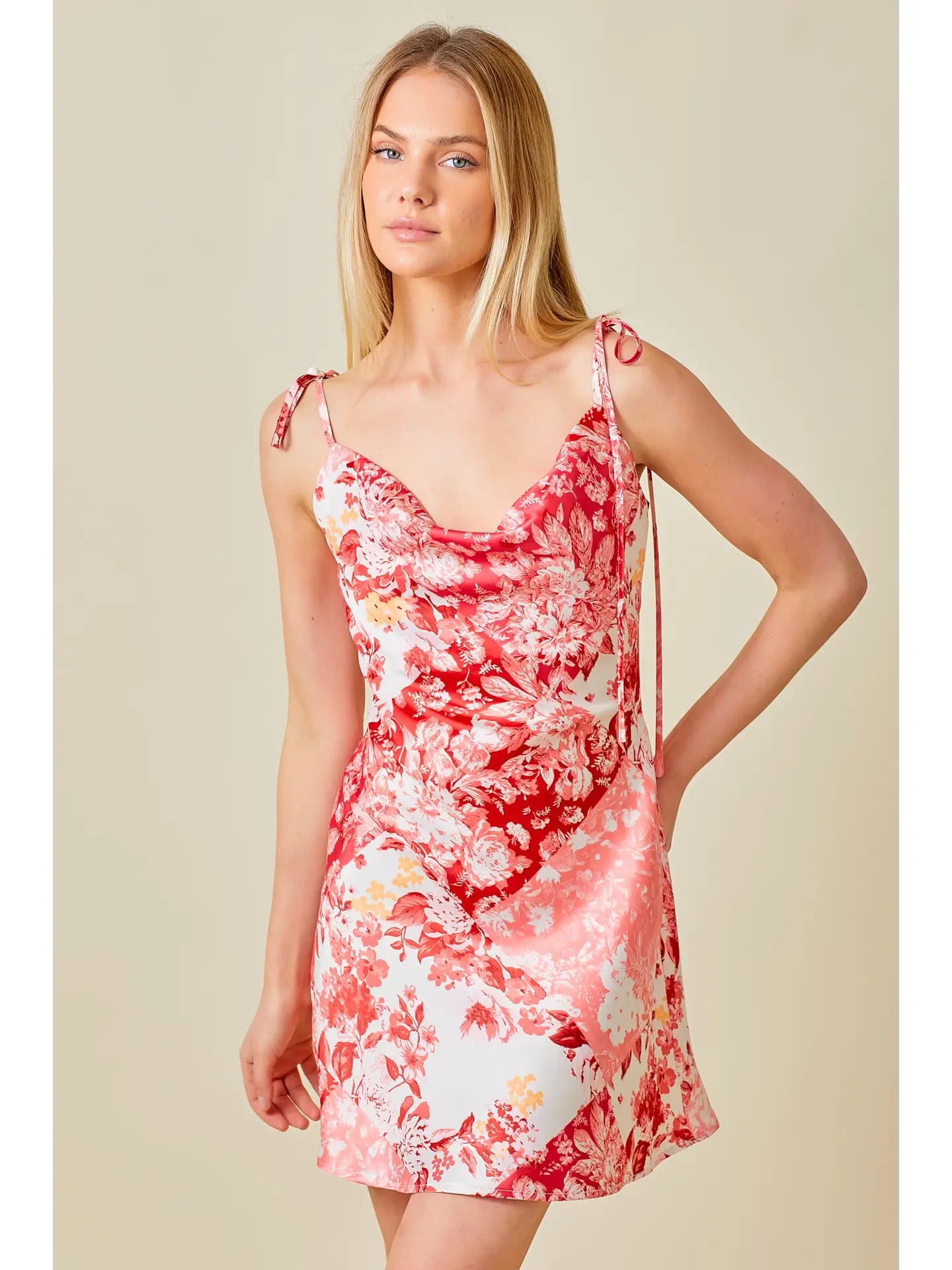 Raspberry Dress