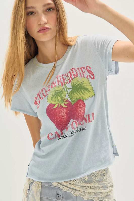 Free People: Nova Tee in Strawberry Combo