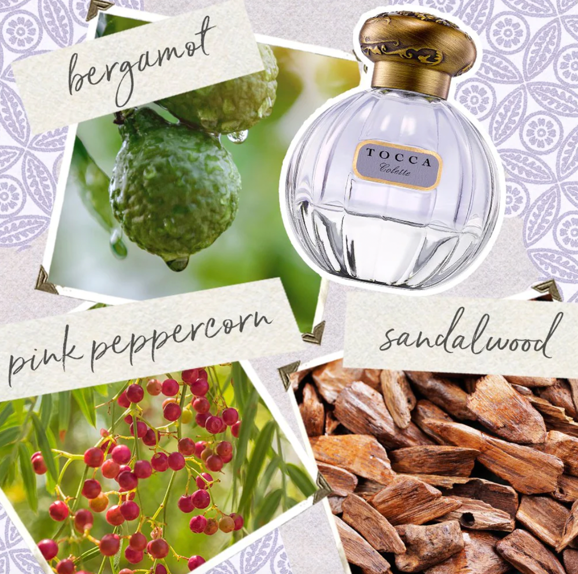 Tocca : Colette 50ml